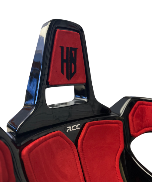 HB F1 SIMULATION RIG